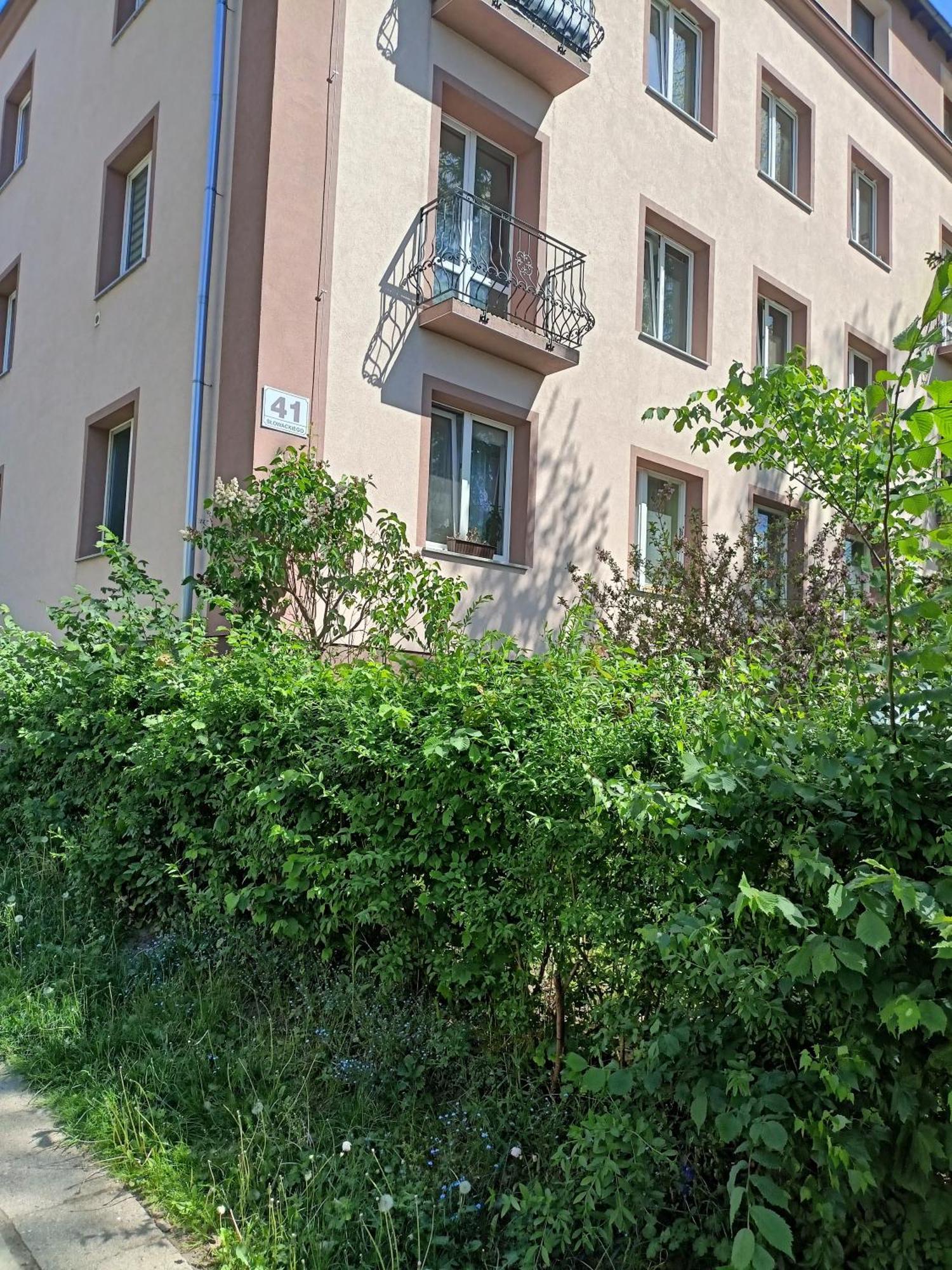 ילנייה גורה Apartament Slowackiego 41 מראה חיצוני תמונה